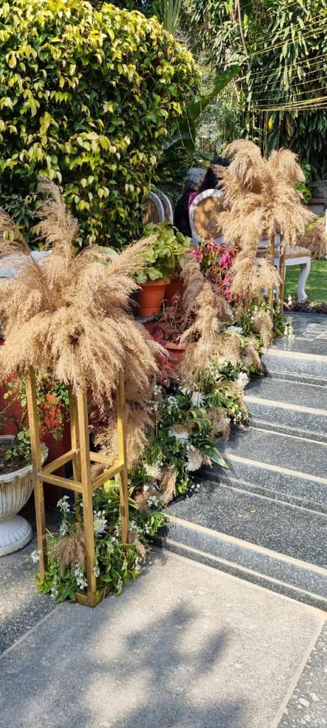 WhatsApp Image 2025-12-21 at 11.06