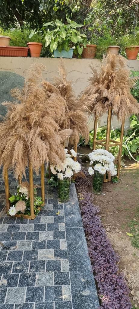 WhatsApp Image 2025-12-21 at 11.06