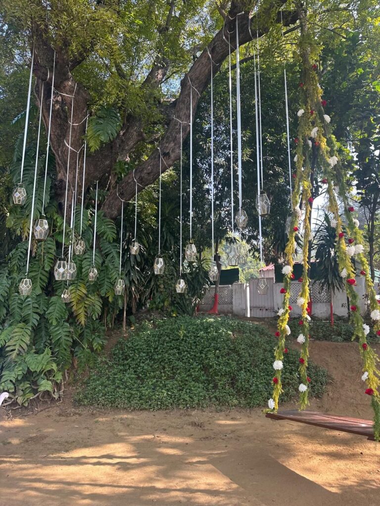 WhatsApp Image 2026-02-21 at 16.24