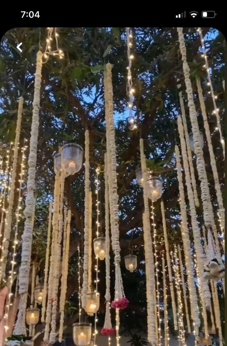 WhatsApp Image 2026-02-21 at 16.29