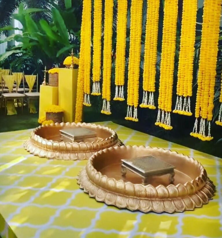 WhatsApp Image 2026-02-21 at 16.29